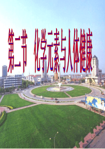 九年级化学下册 第12单元 课题2 化学元素与人体健康课件2 新人教版