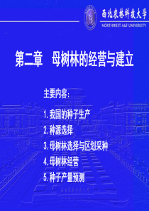 第二章母树林的经营与建立