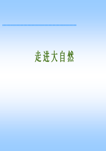 小小竹排画中游PPT课件2小学一年级上册语文第三课