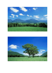 超美丽的经典电脑桌面背景图片
