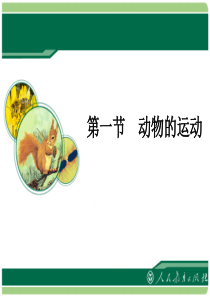 《动物的运动》教学课件