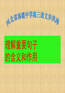 中考语文复习 理解重要句子的含义和作用课件 苏教版