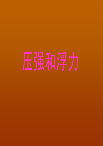93中考物理压强和浮力专题复习课件(人教版)