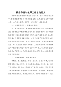 被指导青年教师工作总结范文