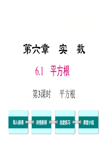 第六章实数 平方根