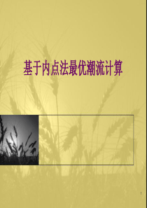 基于内点法最优潮流计算