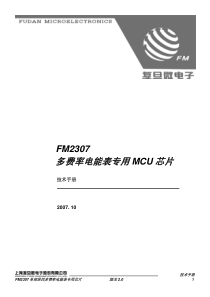 FM2307_ds_chs