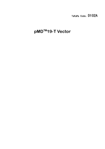 TAKARA公司pMD19-T说明书