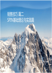 spin销售技巧(完美PPT)