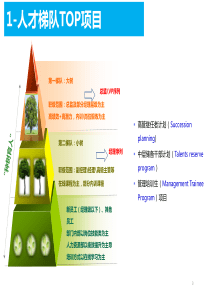 组织发展与继任计划方案