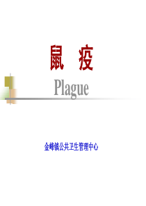 32鼠疫
