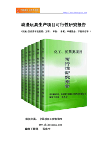 动漫玩具生产项目可行性研究报告(专业经典案例)