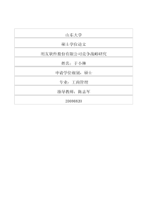 用友软件股份有限公司竞争战略研究