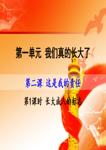 人民版九年级道德与法治上册课件：第二课第1课时-做新媒体的驾驭者.d