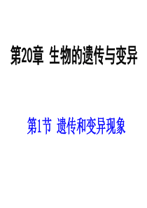 八年级生物遗传和变异现象