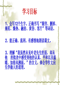《那片绿绿的爬山虎》PPT课件-(1)---人教新课标小学语文四年级上册-(1)(1)