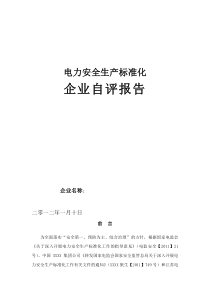 电力行业安全生产标准化自评报告