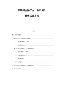 关于互联网金融的运营策划方案
