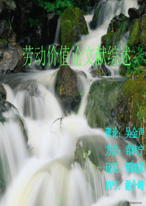 劳动价值论文献综述