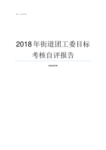 2018年街道团工委目标考核自评报告