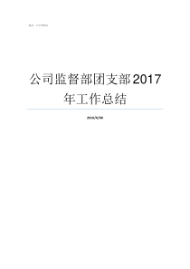 公司监督部团支部2017年工作总结哪些公司有团支部