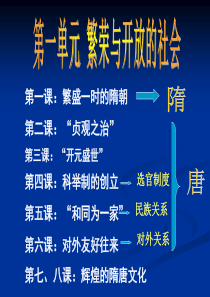历史七年级下册 总复习