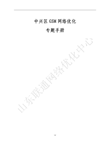 6GSM网络优化KPI提升专题手册(中兴区)