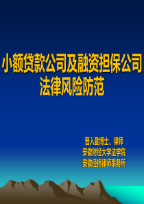 小额贷款公司及融资担保公司法律风险防范