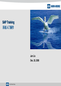 SAP 002 Operation User Guide