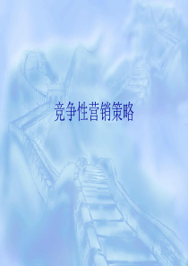 竞争性营销策略