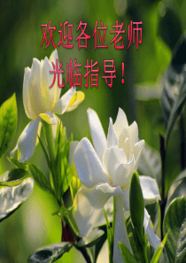 2016年中考数学第二轮专题复习 专题二规律探究性问题