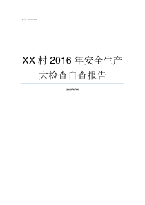 XX村2016年安全生产大检查自查报告不XX年