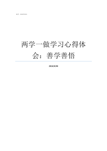 两学一做学习心得体会善学善悟