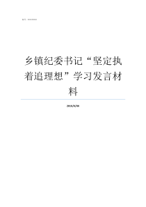 乡镇纪委书记坚定执着追理想学习发言材料市委书记