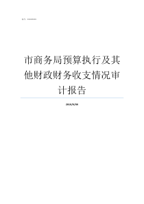市商务局预算执行及其他财政财务收支情况审计报告预算执行情况