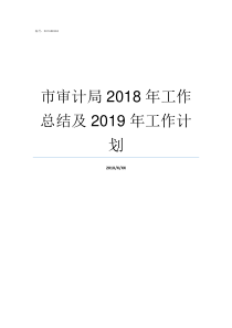 市审计局2018年工作总结及2019年工作计划审计局