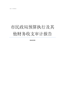 市民政局预算执行及其他财务收支审计报告预算执行情况