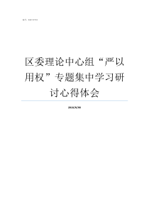 区委理论中心组严以用权专题集中学习研讨心得体会严可以组什么