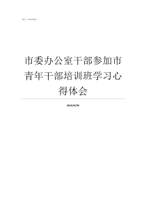 市委办公室干部参加市青年干部培训班学习心得体会市委办公室怎么样