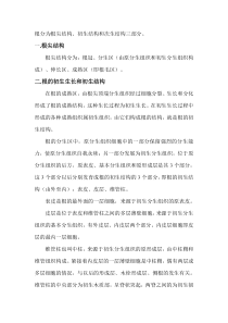 根的初生结构和次生结构