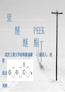 聚醚醚酮PEEK演讲文稿