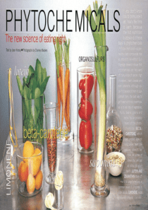 2013《膳食指南与食品安全》课件(苏教版七年级下)