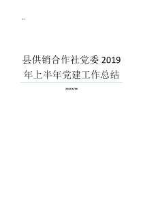 县供销合作社党委2019年上半年党建工作总结