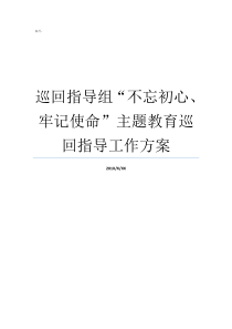 巡回指导组不忘初心牢记使命主题教育巡回指导工作方案牢记初心不忘使命发言材料不忘初心的巡回指导组