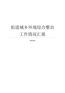 街道城乡环境综合整治工作情况汇报街道工作开展情况汇报