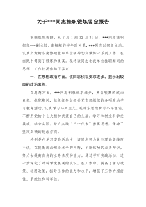 关于同志挂职锻炼鉴定报告