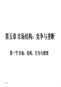 第5章市场结构竞争与垄断XXXX
