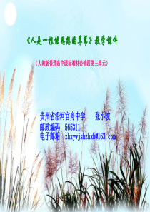 《人是一根能思想的苇草》教学课件