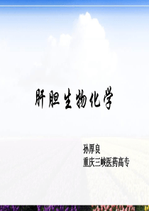 11肝脏生物化学汇总