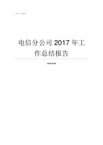 电信分公司2017年工作总结报告
